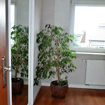 Apartment Dom / W Centrum *