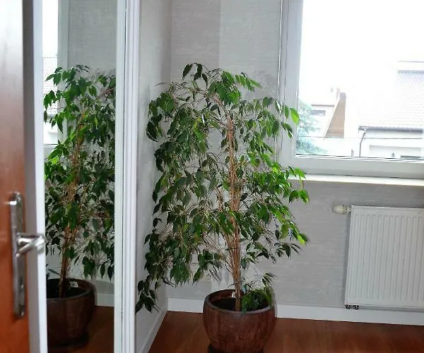 Apartament Dom / W Centrum *